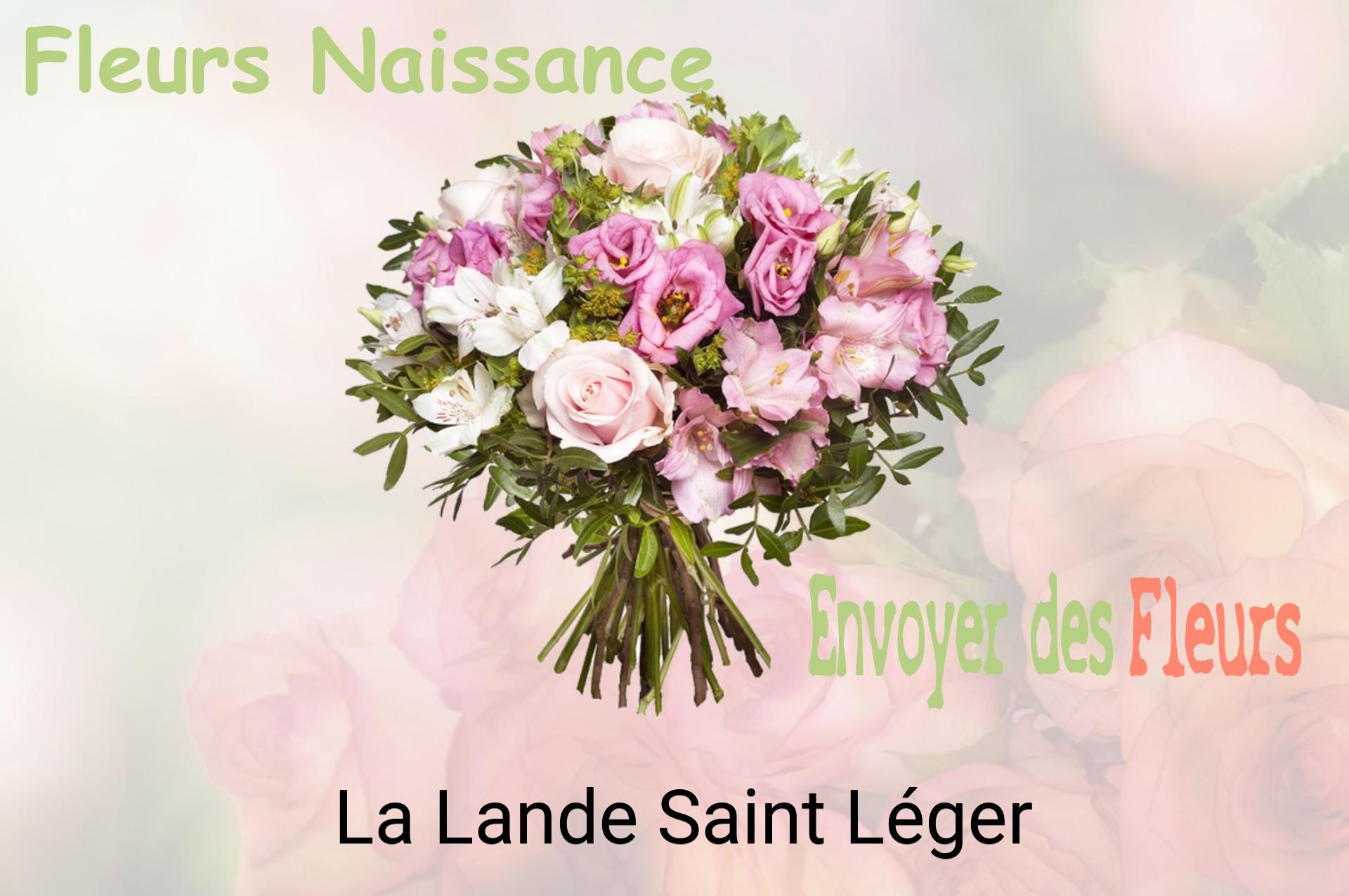 Bouquet de fleurs de naissance livré à La Lande-Saint-Léger